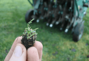 Read more about the article Why Annual Aeration is Essential