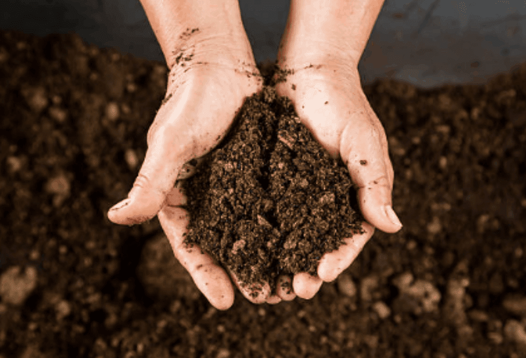 Lawn Soil Amendment