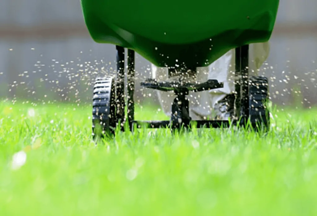 Read more about the article Lawn Fertilization: How Nutrients Help Your Lawn Grow