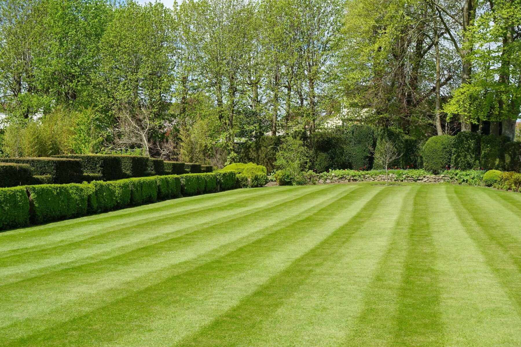 Read more about the article How to Get Green, Healthy Grass This Season