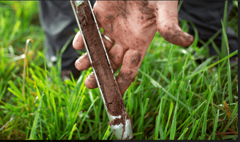 Best Soil Amendments Service