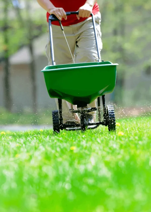 lawn fertilization spreader
