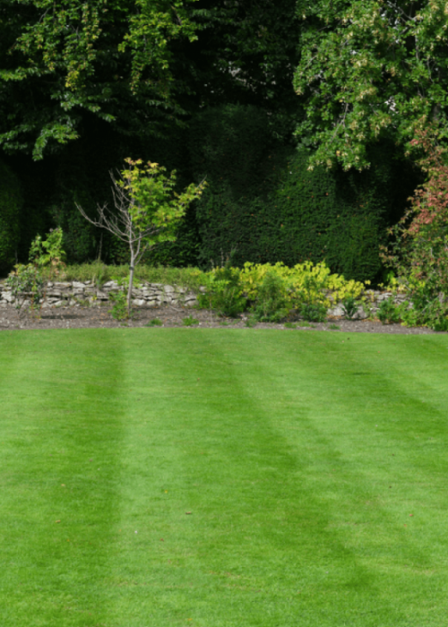 Well maintained lawn