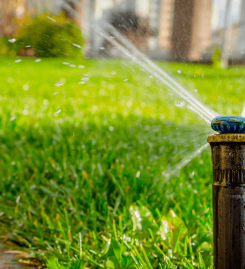 Watering Your Lawn With Sprinklers This Summer Watering Your Lawn With Sprinklers This Summer