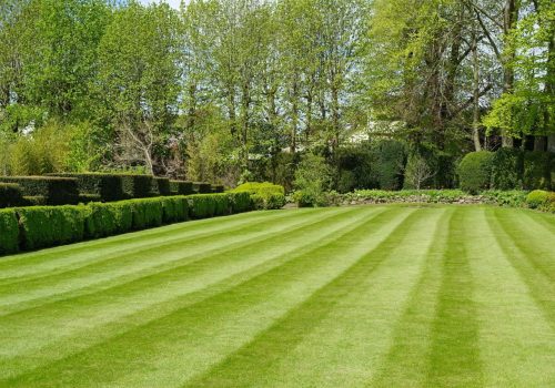 Green Lawn