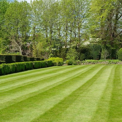 shutterstock_2277128495-scaled.jpg Green Lawn